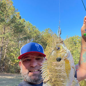 Meet your Posher, Brendon